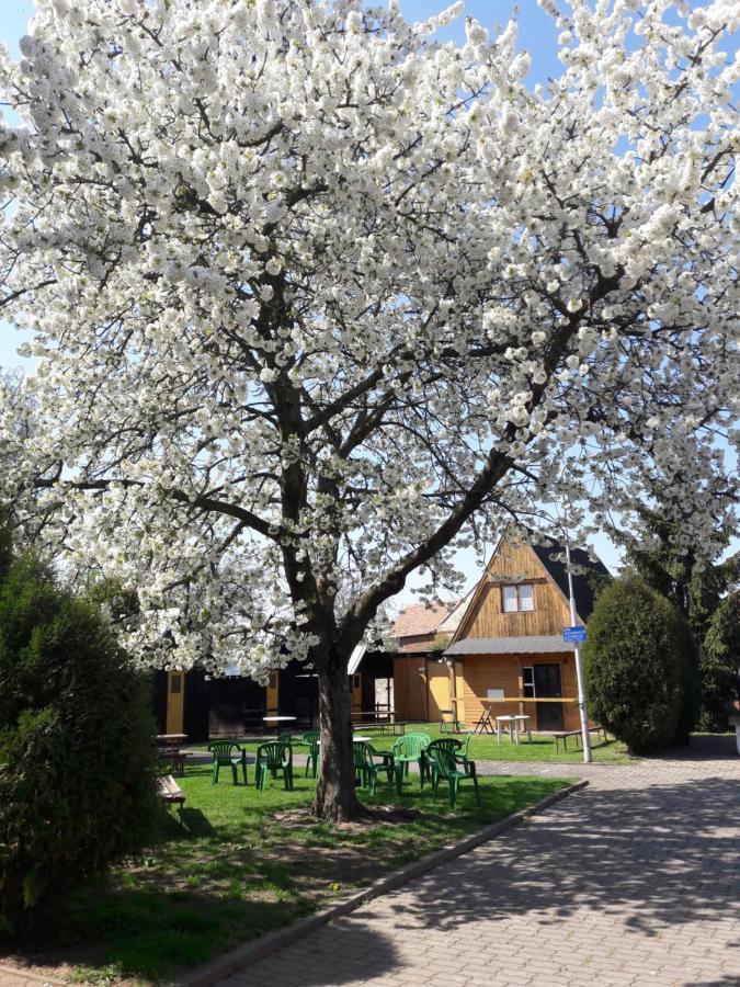 Penzion A Chatovy Camp Havraniky U Np Podyji Hotel Eksteriør billede